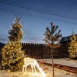 Фото Отель Кругосвет Шале