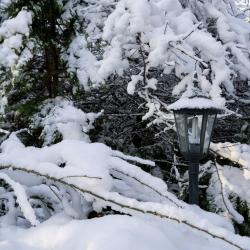 Фото Отель RentalSPb на озере