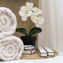 2-комнатные апартаменты стандарт