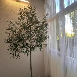 1-комнатные апартаменты улучшенные