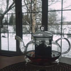 Фото Отель Лес и Луга