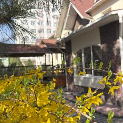 Фото Отель Горы Азии