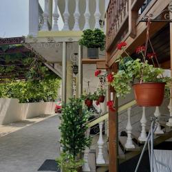 Фото Отель Панорама