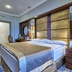 Номер люкс премиум с 1 двуспальной кроватью