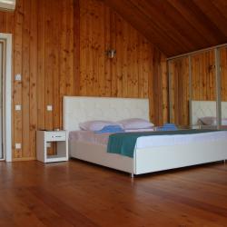 1-комнатные апартаменты люкс (мансарда)