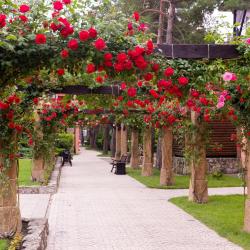 Фото Отель Alean Family Riviera (Алеан Фэмили Ривьера)