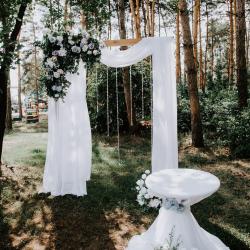 Фото Отель Лесная гавань