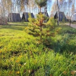 Фото Отель На краю света