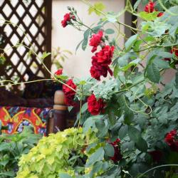 Фото Отель Горы Азии