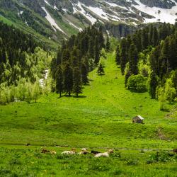 Фото Отель Hayat Haus (Хаят Хаус)
