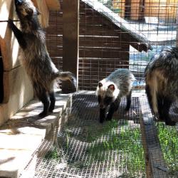 Фото Парк-Отель Березка