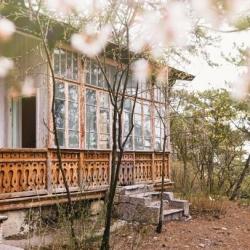 Pallasa Boutique Hotel (Бутик-отель Палласа) — b2715b4f504d55cb195aa2bb67ad2be7