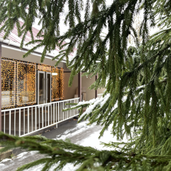 2-комнатный коттедж премиум