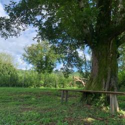 Фото Отель База отдыха Страна души