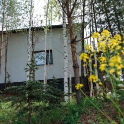 Фото Отель Куль Сканди