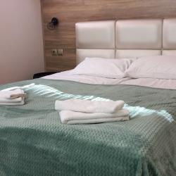 1-комнатные апартаменты стандарт (мансарда)