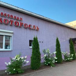 фото 3 Которосль