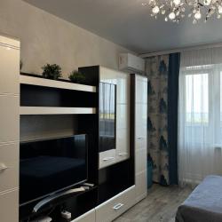 Апартаменты стандарт Александра Кривохижина 8