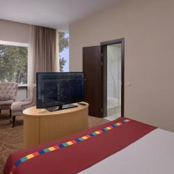 Park Inn by Radisson Odintsovo (Парк Инн Рэдиссон Одинцово) — b28d302980e14202c252e0a116fd2244