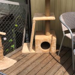 Фото Апартаменты Усадьба