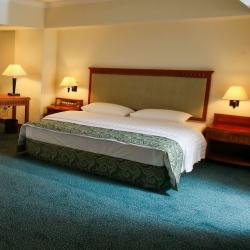 фото 12 Ramada by Wyndham Tashkent (Рамада бу Виндхэм Ташкент)