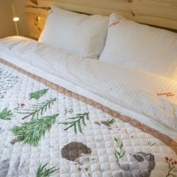 Фото Отель Лиcичкинhousе на улице Балкарская 21с4