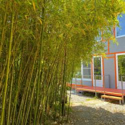 Бунгало стандарт