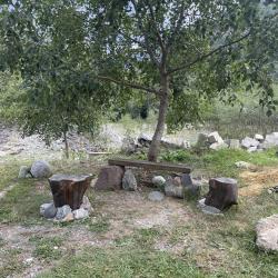 Фото Отель Зеленый Берег