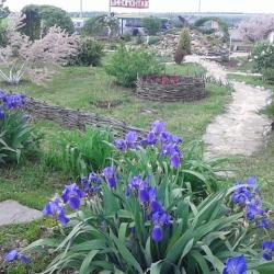 Фото Отель Роза Ветров