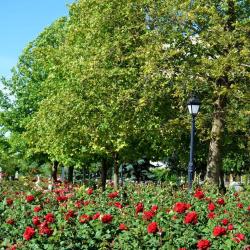 Фото Отель Сакрополь