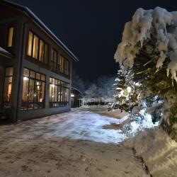 Фото Отель Коттедж на улице НП Синергия 13