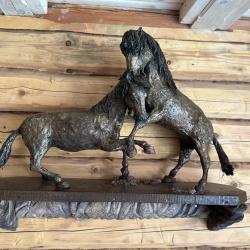 Фото Отель Аура Алтая