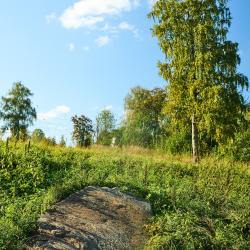 Фото Отель База отдыха Марциальные ключи
