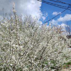 Фото Отель Центральный гостевой дом