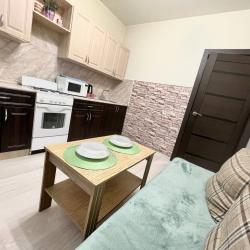 1-комнатные апартаменты улучшенные дзержинского 10