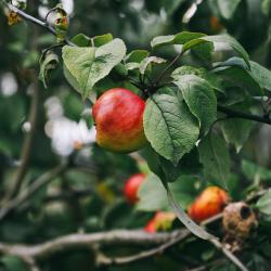 Фото Отель MurHouse (МурХаус)