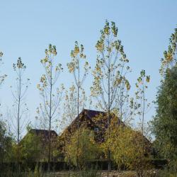Фото Отель Зюйд-Вест