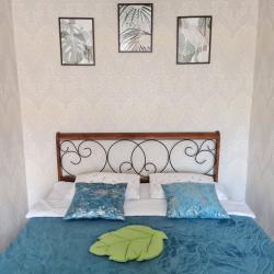 4-местные 2-комнатные апартаменты улучшенные с 1 двуспальной кроватью