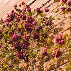 Фото Отель Усадьба