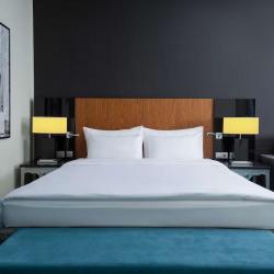 Фото Отель Cosmos Selection Moscow Sheremetyevo Airport Hotel (Космос Селекшен Шереметьево) (бывш. Radisson Blu Sheremetyevo Airport)