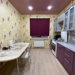 Фото Апартаменты Мир на улице Геологоразведчиков 14