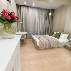 1-комнатные апартаменты делюкс