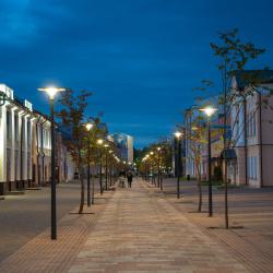 Фото Отель Златинские Лавки