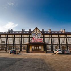 Фото Отель Родина