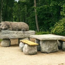 Фото Парк-отель