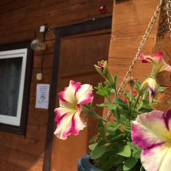 3-местный номер стандарт с 3 односпальными кроватями