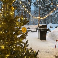 Фото Отель Шале в хвойном лесу
