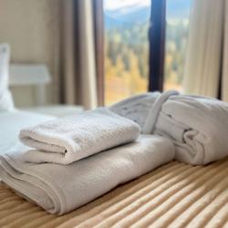 Номер стандарт с видом на горы