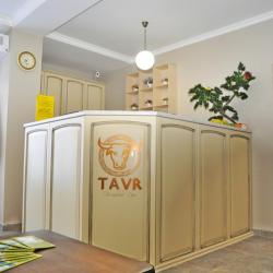 Фото Отель TAVR (ТАВР)