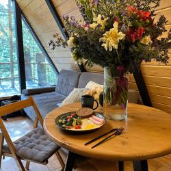 Фото Отель Хвойная хижина